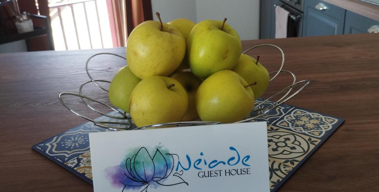 Vista Lago Lecco - Neiade Guest House Pescate エクステリア 写真